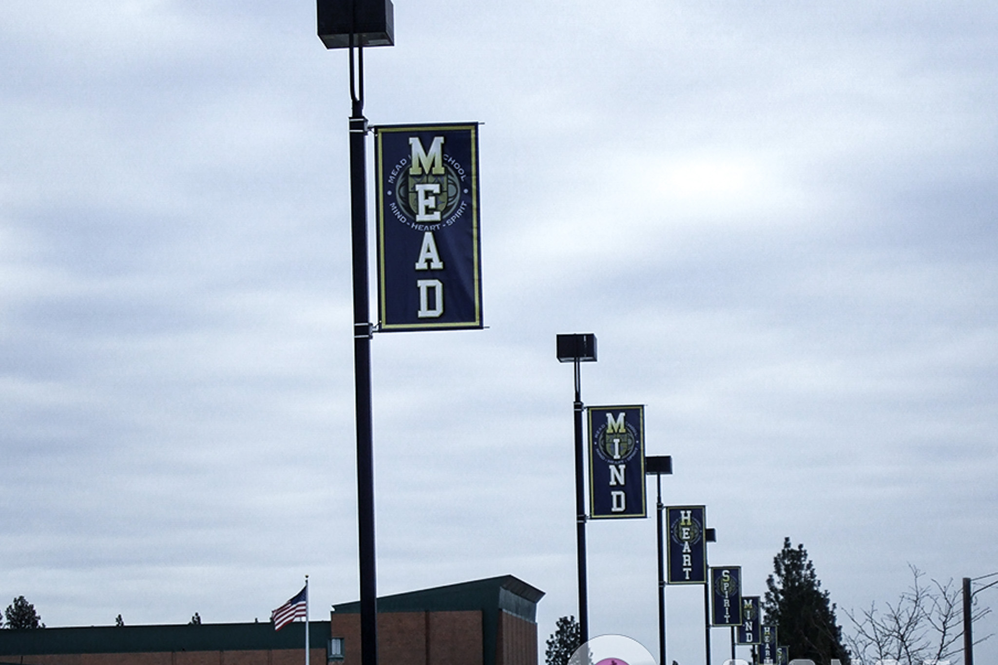 Pole Banners for Schools u0026 Cities